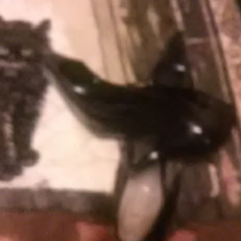 Shoes - Picture 5 of 6
